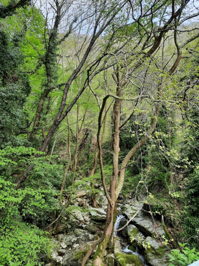 Αρχοντικό Κονάκι- Konaki Pelion Tsagkarada Exterior foto